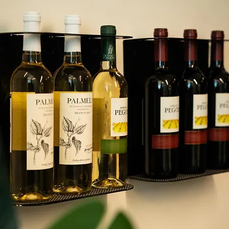 Exclusive In Lisbon 公寓 Bicas