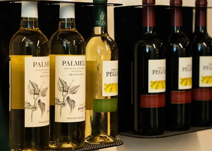 Exclusive In Lisbon Appartement Bicas